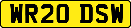 WR20DSW