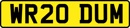 WR20DUM