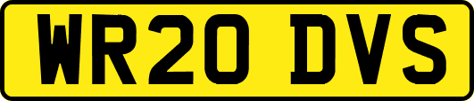 WR20DVS