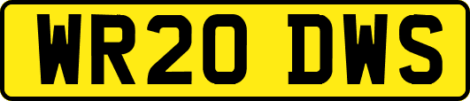 WR20DWS