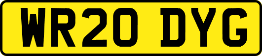 WR20DYG