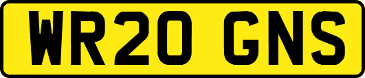 WR20GNS