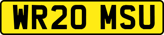 WR20MSU