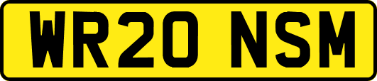 WR20NSM
