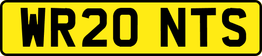 WR20NTS