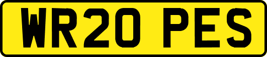WR20PES