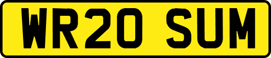 WR20SUM