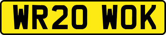 WR20WOK