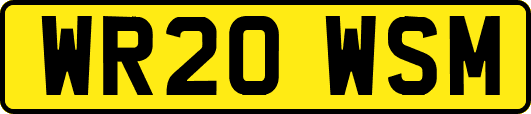 WR20WSM