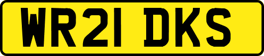 WR21DKS