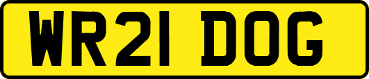 WR21DOG