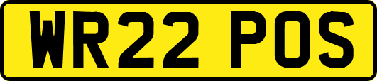 WR22POS