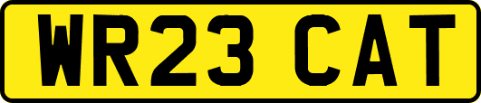 WR23CAT