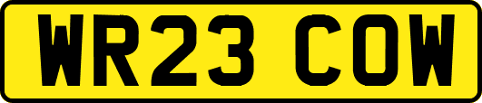 WR23COW