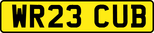 WR23CUB