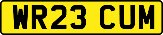 WR23CUM