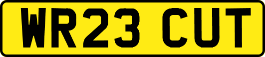WR23CUT