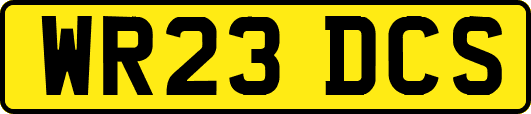 WR23DCS