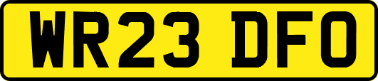 WR23DFO