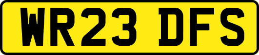 WR23DFS