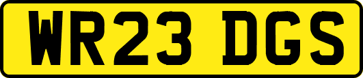 WR23DGS