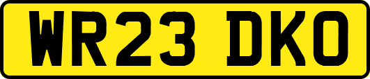 WR23DKO