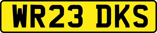 WR23DKS