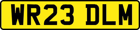 WR23DLM