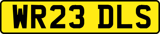 WR23DLS