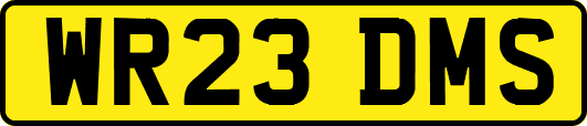 WR23DMS