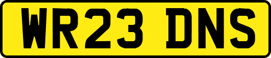 WR23DNS