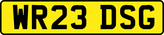 WR23DSG