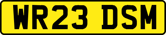 WR23DSM