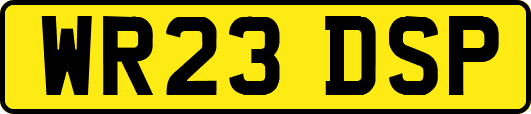 WR23DSP