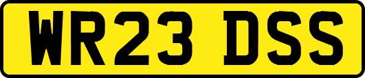 WR23DSS