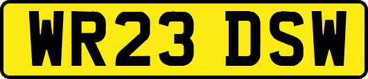 WR23DSW