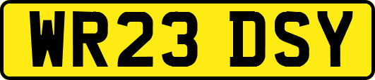 WR23DSY