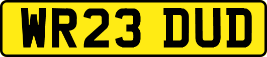 WR23DUD