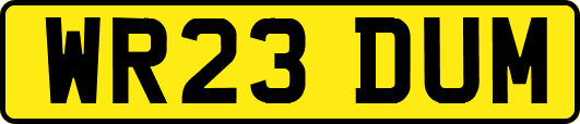 WR23DUM