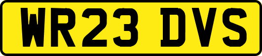 WR23DVS