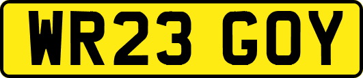 WR23GOY