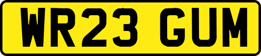 WR23GUM