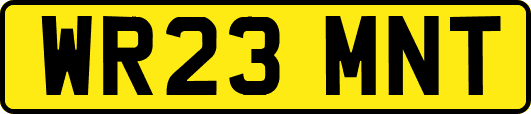 WR23MNT