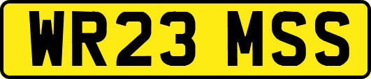WR23MSS