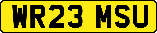 WR23MSU