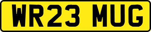 WR23MUG