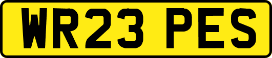 WR23PES