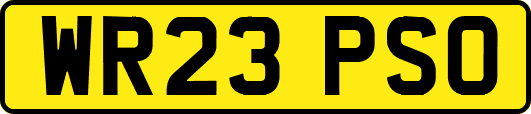 WR23PSO
