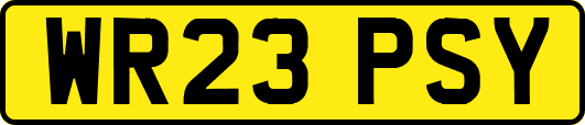 WR23PSY