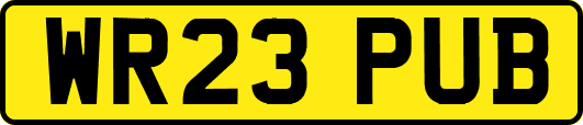 WR23PUB